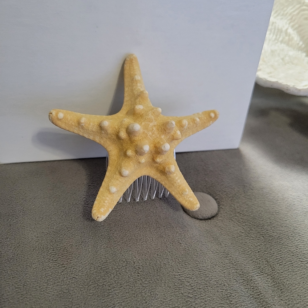Authentic Starfish Hair Accessory - Picture 2 of 12